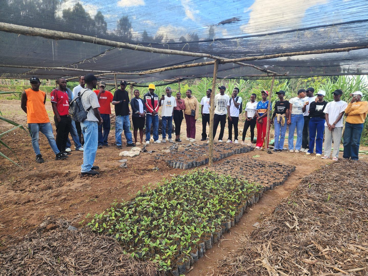 Growing Hope Through Tree Nursery Activities