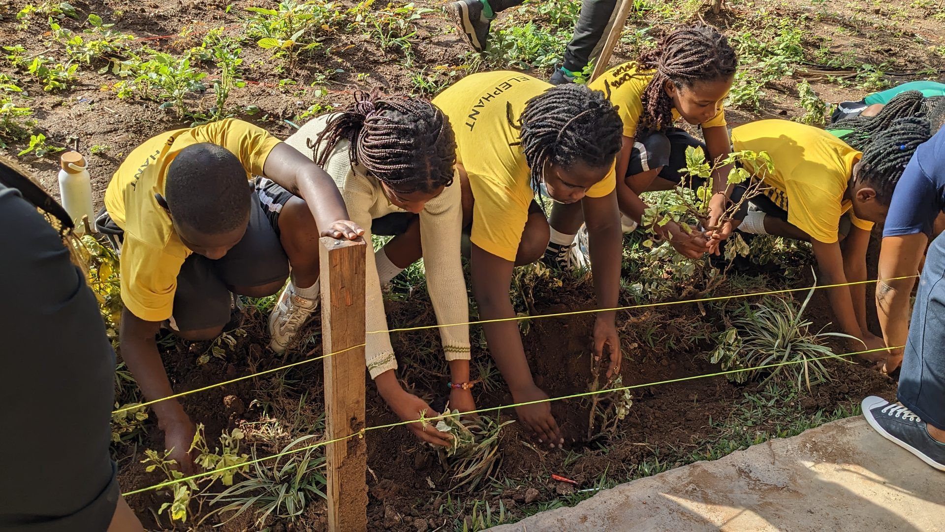 Climate Awareness and Tree Planting at Ahazaza Independent School